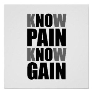 know_pain_gain_poster-rb34401dbd97e4c87bdaffe434b889e82_w2q_8byvr_324